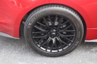 Used 2020 Ford Mustang GT PERFORMANCE ROUSH PHASE 2 750HP 11K IN UPGRADES for sale $54,950 at Auto Collection in Murfreesboro TN 37130 72