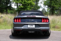 Used 2019 Ford Mustang GT PREMIUM CONVERTIBLE W/APPROX 18K IN ADD ONS for sale $52,950 at Auto Collection in Murfreesboro TN 37129 11