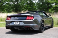 Used 2019 Ford Mustang GT PREMIUM CONVERTIBLE W/APPROX 18K IN ADD ONS for sale $52,950 at Auto Collection in Murfreesboro TN 37129 3
