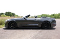 Used 2019 Ford Mustang GT PREMIUM CONVERTIBLE W/APPROX 18K IN ADD ONS for sale $52,950 at Auto Collection in Murfreesboro TN 37129 7