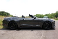 Used 2019 Ford Mustang GT PREMIUM CONVERTIBLE W/APPROX 18K IN ADD ONS for sale $52,950 at Auto Collection in Murfreesboro TN 37129 8