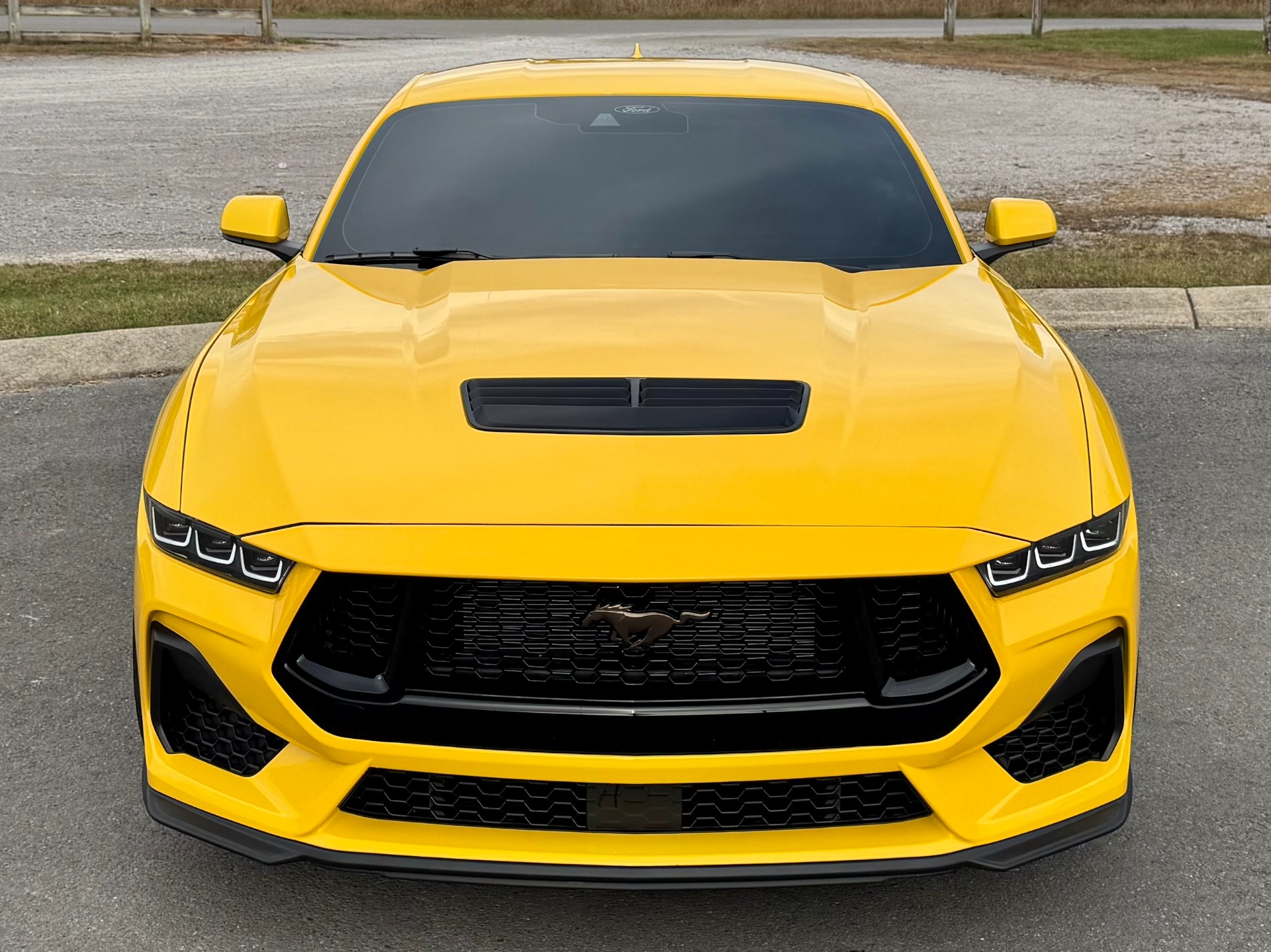 Used 2024 Ford Mustang GT Premium, GT PERFORMANCE PKG, BRONZE